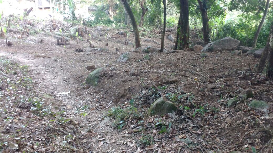 Denúncia leva polícia a localizar 700 metros quadrados de área desmatada em Itaguaí